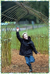 Willow Maze