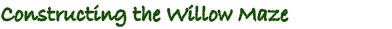 Constructing the Willow Maze