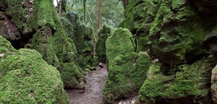 Getting to Puzzlewood
