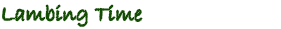Wye Valley Art Society