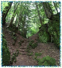 Gulley