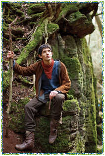 Merlin at Puzzlewood