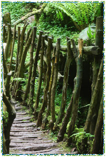 Yew Bridge